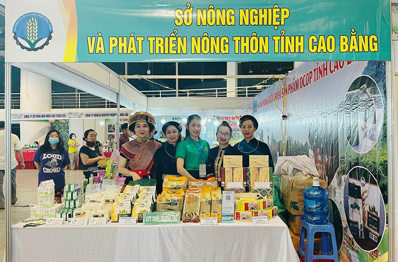 At a trade fair promoting OCOP products of Cao Bang Province (Photo: caobang.gov.vn) At a trade fair promoting OCOP products of Cao Bang Province (Photo: caobang.gov.vn)
