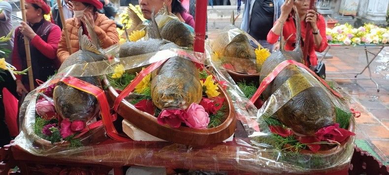 During the festival, it is indispensable to have a fish dish reminiscent of the Tran family's roots as fishermen. During the festival, it is indispensable to have a fish dish reminiscent of the Tran family's roots as fishermen.