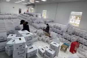 Over the past five months, an average of 28,500 enterprises were newly established or resumed operations each month. (Photo: HNV)
