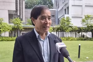 Professor Vu Minh Khuong from the Lee Kuan Yew School of Public Policy talks to the Viet Nam News Agency. (Photo: VNA)