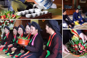 The Quan ho club model has become a bridge bringing heritage values closer to a wider public.