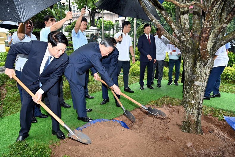 General Secretary To Lam and President Luong Cuong plant a commemorative tree at the new Presidential Office Headquarters. General Secretary To Lam and President Luong Cuong plant a commemorative tree at the new Presidential Office Headquarters.