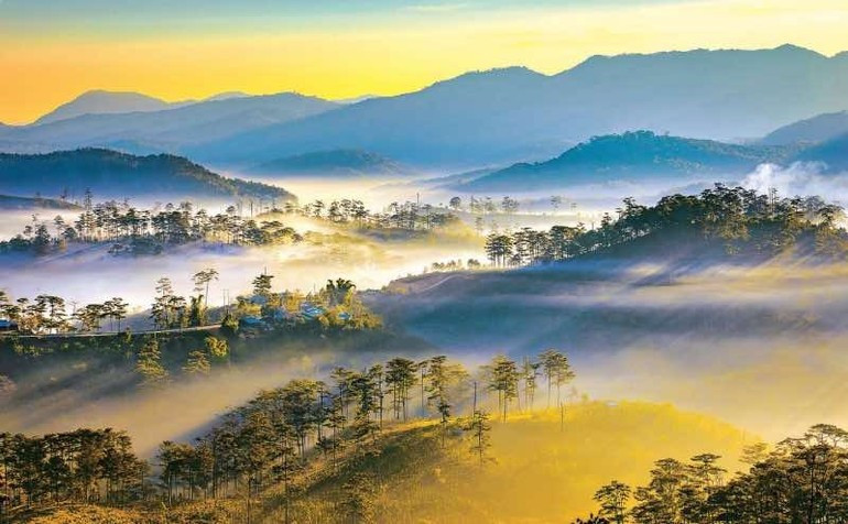 Tu The Duy (Viet Nam) Morning dew in K’Long K’Lanh. t8.jpg