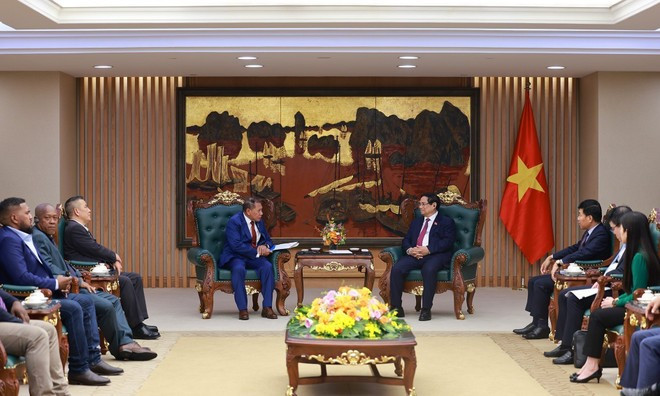 The meeting in Ha Noi on November 11 (Photo: VNA)