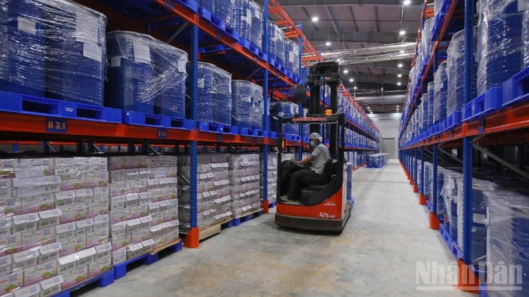 Processed agricultural products ready for export at Thabico Tien Giang Food Industry JSC dong2.jpg
