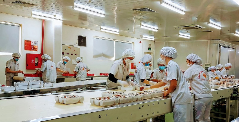 Production at Bao Hung International Joint Stock Company 24-9-san-xuat-tai-cong-ty-co-phan-quoc-te-bao-hung.jpg