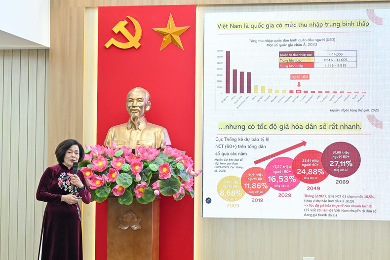 Viet Nam population projections 2019–2069.