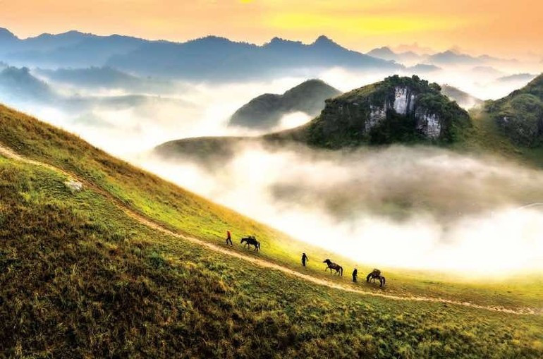 Nguyen Phuoc Hoai (Viet Nam) Morning dew on Ba Quang burnt grass hill. t7.jpg