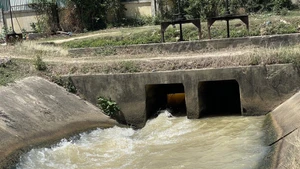 Thanks to ODA and concessional loans, many irrigation projects have boosted agricultural production in Khanh Hoa province. (Photo: VNA)