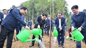 State President Luong Cuong and delegates plant trees in Lao Cai Ward, Lao Cai Province. (Photo: nhandan.vn)