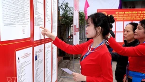Voters from the Muong ethnic minority group carefully study candidates' profiles before casting their ballots. (Photo: VNA)