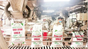 Urea production at Dam Ninh Binh Company Limited under the Viet Nam National Chemical Group.