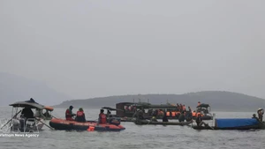 The rescue forces are searching for the missing (Photo: VNA)