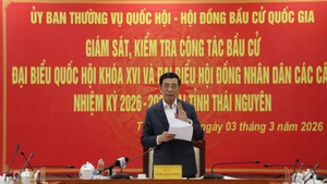 General Phan Van Giang speaks at the supervision and inspection session. (Photo: TUAN SON)