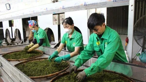 Domestic market — a “launchpad” to accelerate Vietnamese goods