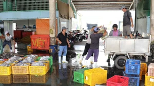 During the fishing season, the Vam Lang fishing port in Dong Thap province provides employment for a large number of local workers. (Photo: VNA)