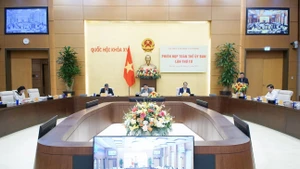 Duties and powers of the National Assembly’s Committee for Culture and Social Affairs