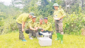The application of digital technology helps the Son La forest ranger force to effectively carry out forest management and protection tasks.