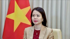 Deputy Minister of Foreign Affairs Nguyen Minh Hang (Photo published by VNA)