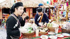 Many agricultural cooperatives livestream to introduce their products to consumers. Photo: NGUYET ANH