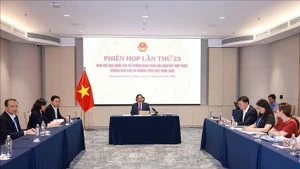 Prime Minister Pham Minh Chinh speaks at the 23rd meeting of the National Steering Committee for Combating IUU Fishing in Ho Chi Minh City on November 25. (Photo: VNA)