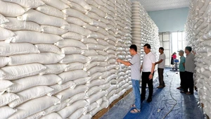 The reserved rice will be delivered to commune-level administrative centres according to the specific allocation plan approved by the Tuyen Quang Provincial People’s Committee. (Illustrative photo: CDT)