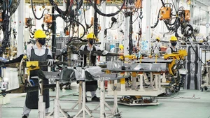 Domestic enterprises need to enhance their competitiveness to effectively seize the opportunities brought by RCEP. (Photo: NG.NAM)