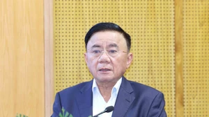 Politburo member and Permanent member of the Party Central Committee’s Secretariat Tran Cam Tu speaks at the conference. (Photo: VNA)