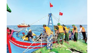 Quang Ngai border guard forces conduct regular sea patrols, strictly handle IUU fishing violations. (Photo: nhandan.vn)