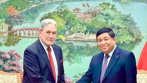 Deputy Prime Minister Nguyen Chi Dung (R) and Winston Peters, Minister of Foreign Affairs of New Zealand, at their meeting in Ha Noi on November 25. (Photo: VNA)