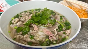 “Pho Day” festival expected to attract around 100,000 visitors
