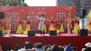 Vietnamese–Japanese cultural exchange performances and programmes in 2025.