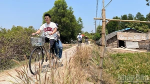 Visitors cycle to explore Thieng Lieng, Thanh An Commune, Ho Chi Minh City. (Photo: LINH BAO)