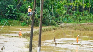 EVNCPC has mobilised maximum manpower, vehicles, and materials to restore power as quickly as possible.