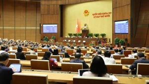 Illustrative image (Source: nhandan.vn)