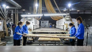 Vietnamese enterprises urgently need the support of a comprehensive ecosystem to gain the strength required to reach the global market. (Illustrative photo: THANH DAT)