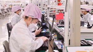 Equitisation of state-owned enterprises and IPOs of FDI enterprises amid new development requirements