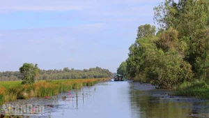 Tram Chim National Park takes on a new look during the flood season.