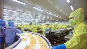 Vietnamese shrimp exporters focus on high-quality processing for the US market — the country’s largest export destination. (Photo: VNA)