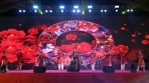 An art performance at the festival (Photo: VNA)