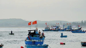 Fishermen in Quang Ngai go offshore, strictly following anti-IUU fishing regulations. (Photo: LUU HUONG)