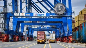 Cargo handling at Dinh Vu Port, Hai Phong. (Illustrative photo: THANH DAT)