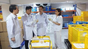 CEO Nguyen Van Diep inspects the AVAC ASF LIVE vaccine batch prepared for export.