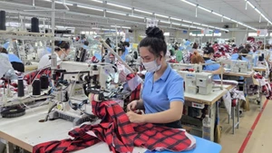 Export garment production at the Hoa Tho garment factory (Quang Ngai)