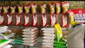 As of May 28, the government has provided nearly 2,000 tonnes of rice to people during the pre-harvest period at the beginning of 2025. (Photo: T.T)