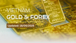 Infographic: SJC gold bar price remains below 120 million VND per tael on June 18