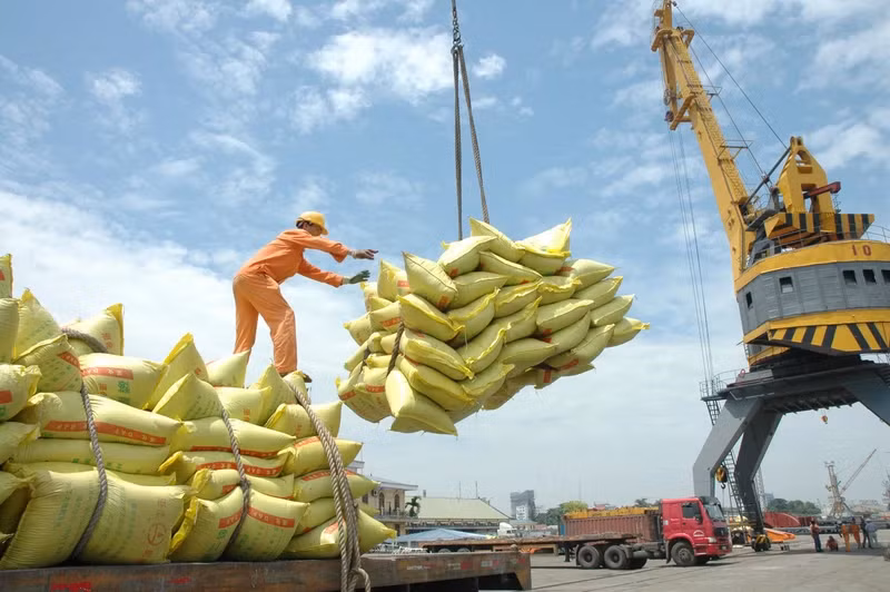 Vietnam exports 6.1 million tonnes of rice in eight months.