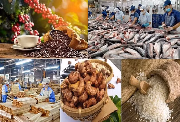 Vietnam earns 5.14 billion USD from agro-forestry-aquatic exports in January. (Photo: vneconomy.vn)