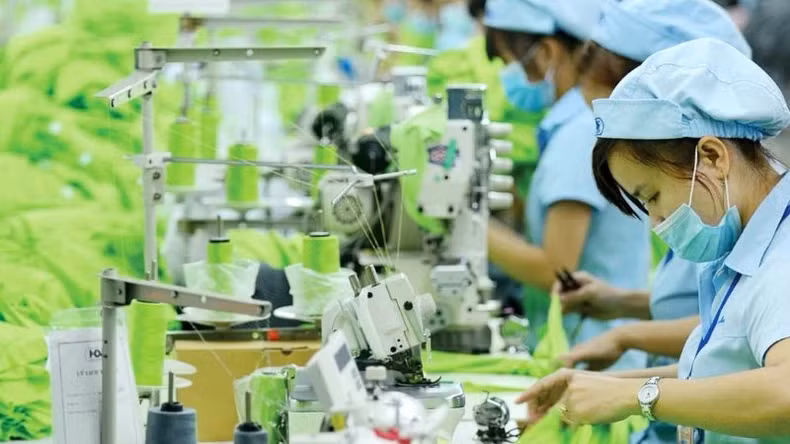 Increasing green production and exports is an irreversible trend.