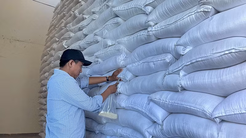 More than 1,800 tonnes of rice from the national reserves, will be provided for the three provinces of Cao Bang, Lai Chau and An Giang. (Photo: GDSR)